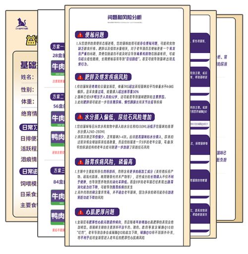 打破“盲目喂养”怪圈益顿用科学守护每只猫咪的健康密码(图3)