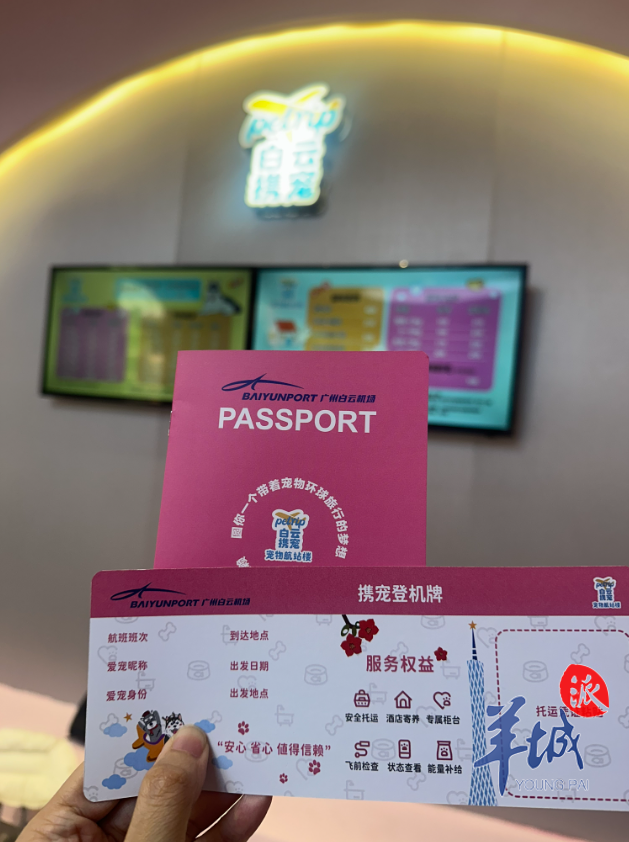 九游体育：让“毛孩子”轻松飞！全国首个宠物航站楼亮相广州白云机场(图2)