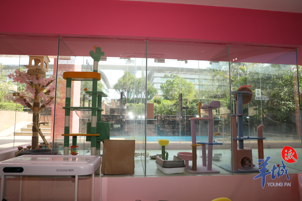 九游体育：让“毛孩子”轻松飞！全国首个宠物航站楼亮相广州白云机场(图3)