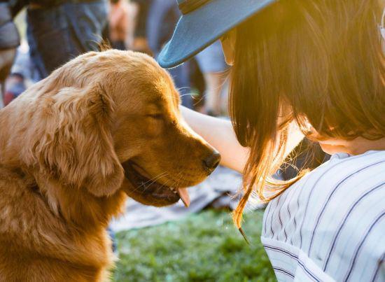 烟台同城宠物社区App开发一站式养宠生活圈(图3)