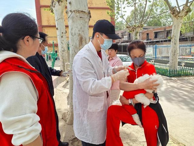 马泉街道茂西社区开展“文明养宠 健康同行”宠物义诊活动(图2)