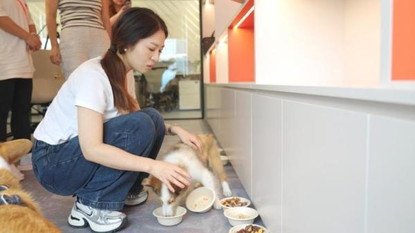 美腕打造宠物友好直播间：从选品策略传递科学养宠理念(图6)