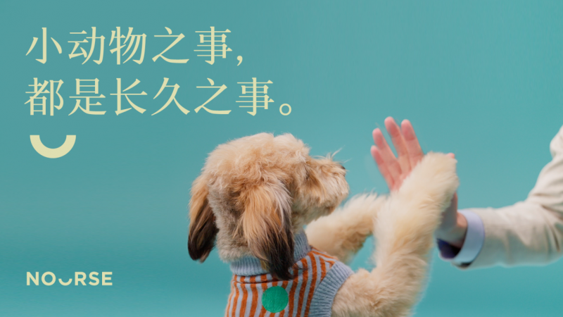 卫仕20周年「不弃养公约行动」联动天猫聚划算欢聚日(图2)