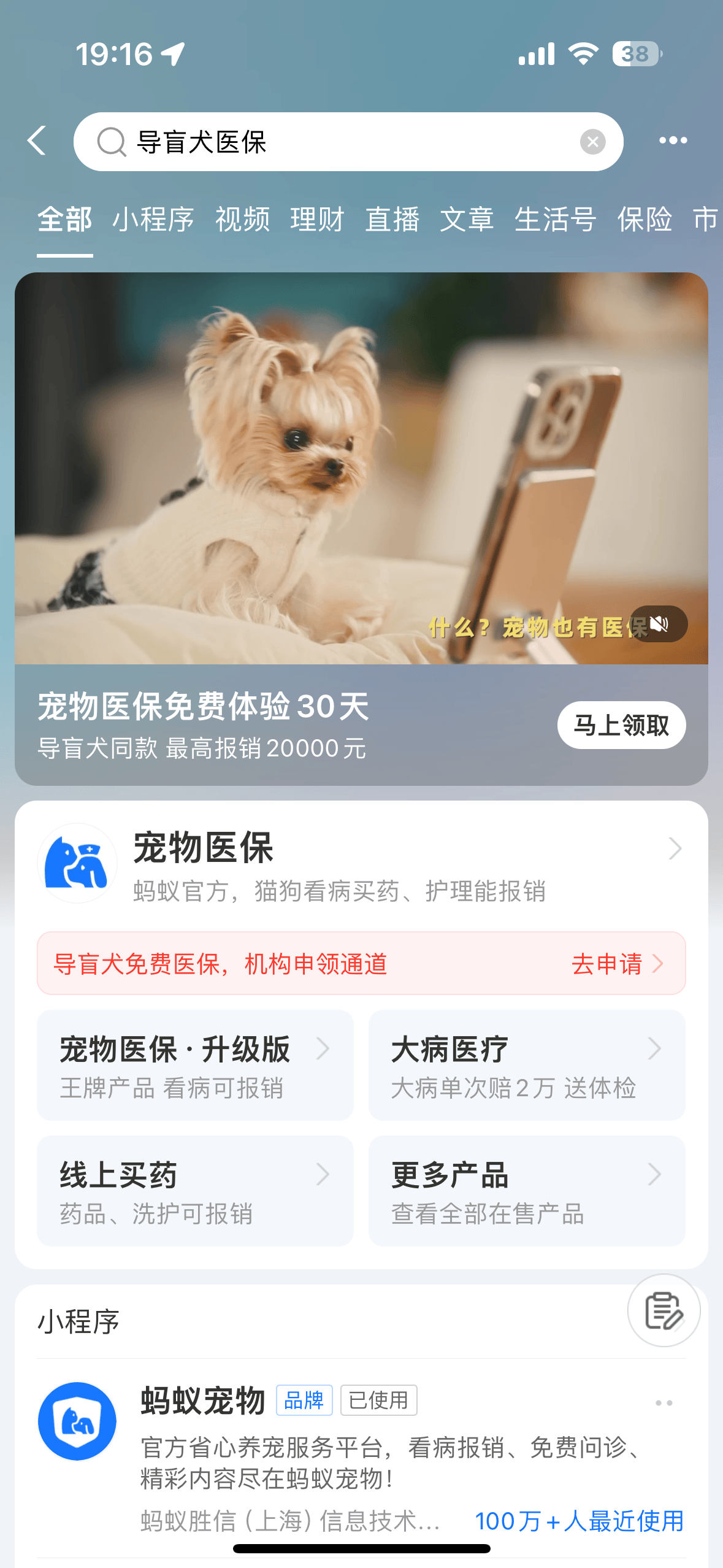 九游app：默默守护4载 导盲犬宠物险让“忠犬”主人无后顾之忧(图2)
