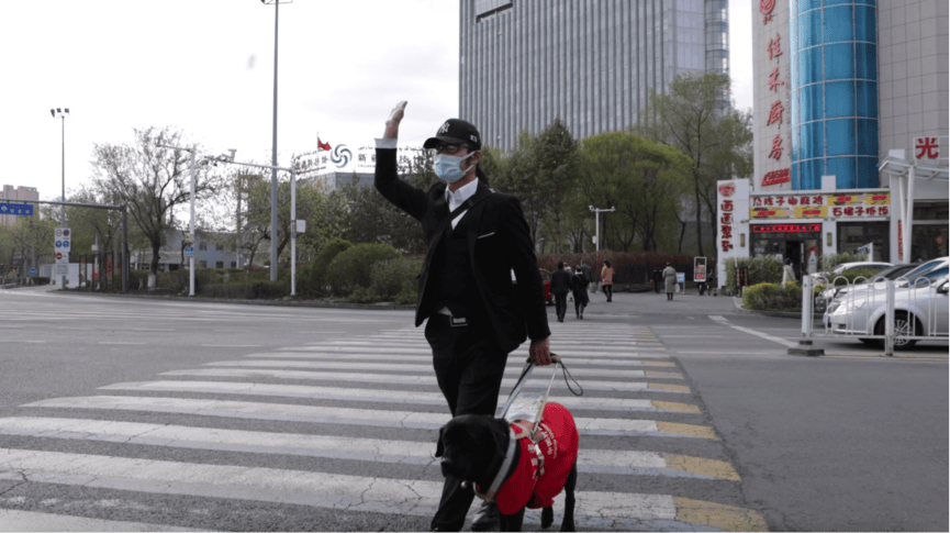 九游app：默默守护4载 导盲犬宠物险让“忠犬”主人无后顾之忧(图3)