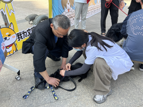 “碰个头握个爪”这里的宠物嘉年华真“闹猛”(图3)