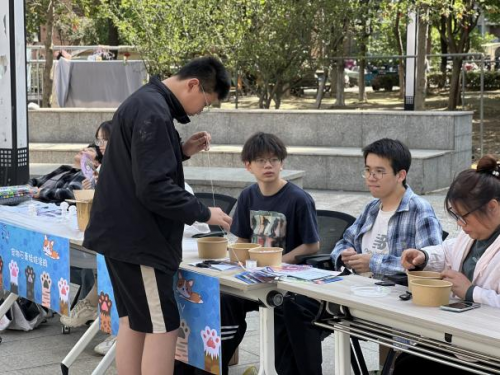 “碰个头握个爪”这里的宠物嘉年华真“闹猛”(图2)