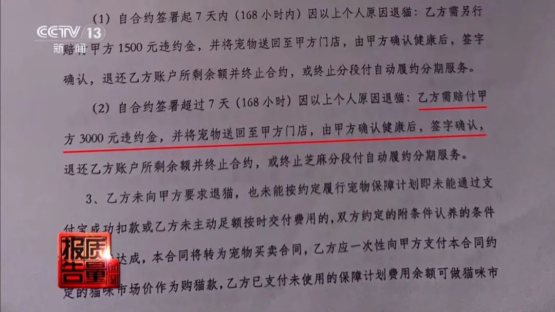 “免费送猫”背后的天价陷阱(图3)