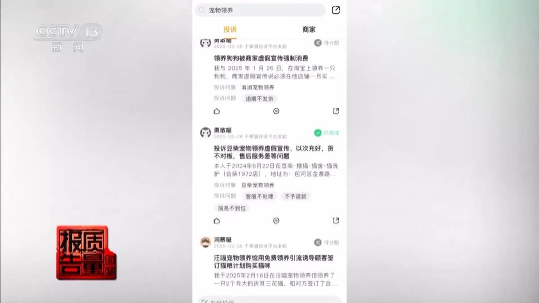 “免费送猫”背后的天价陷阱(图2)