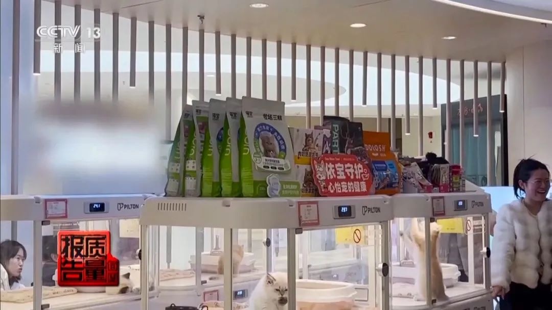 “免费送猫”背后的天价陷阱(图7)