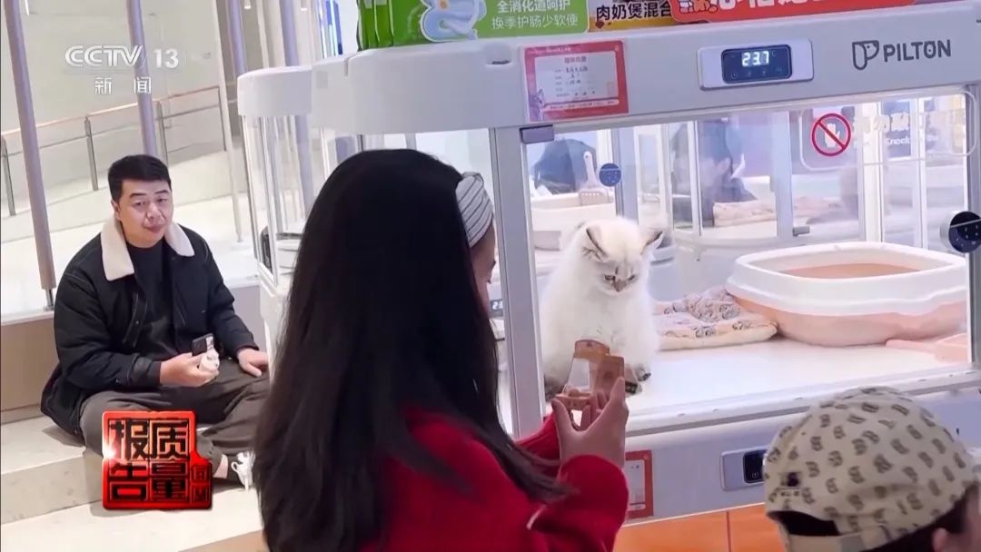 “免费送猫”背后的天价陷阱(图13)