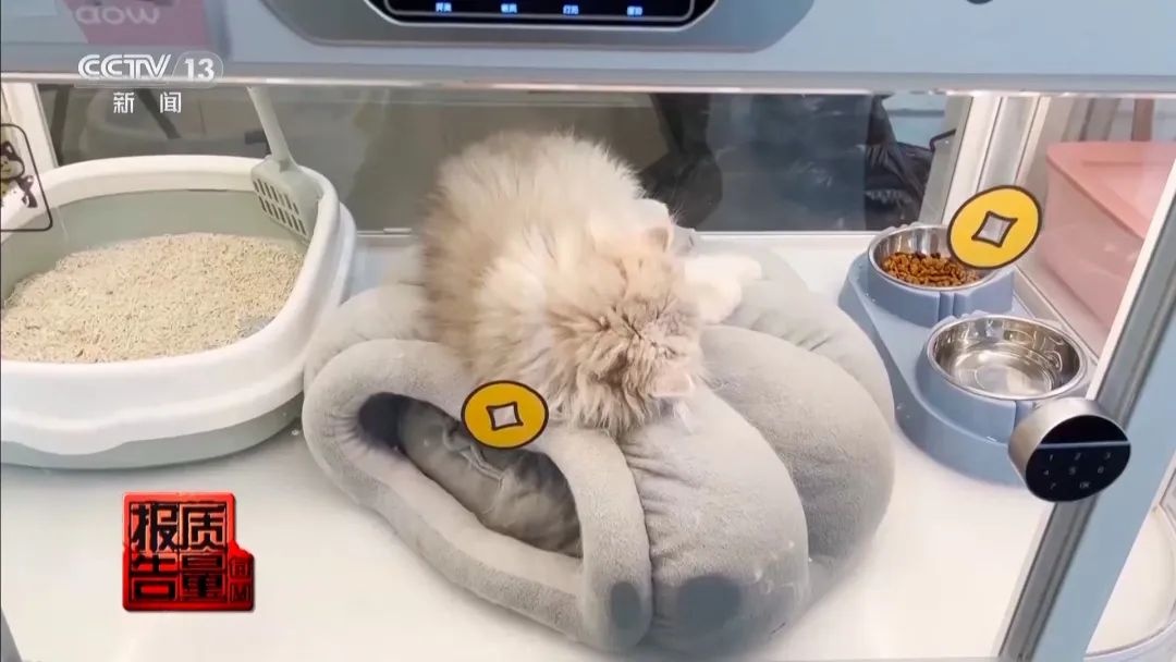 “免费送猫”背后的天价陷阱(图11)