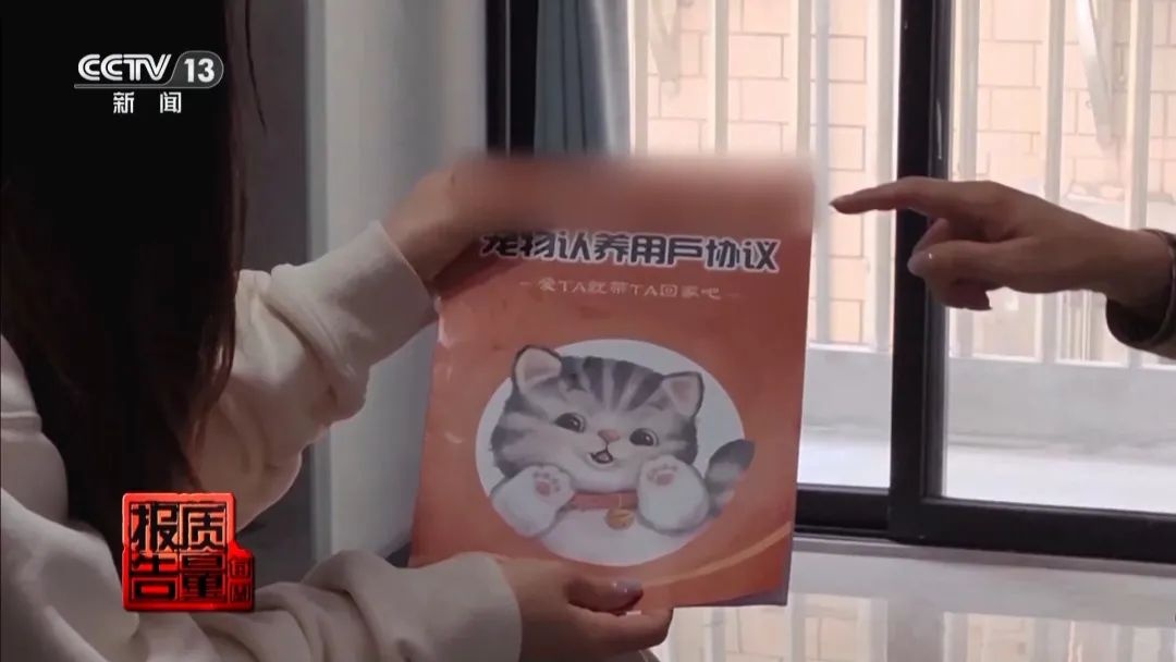 “免费送猫”背后的天价陷阱(图12)