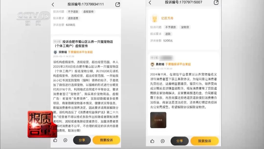“免费送猫”背后的天价陷阱(图6)