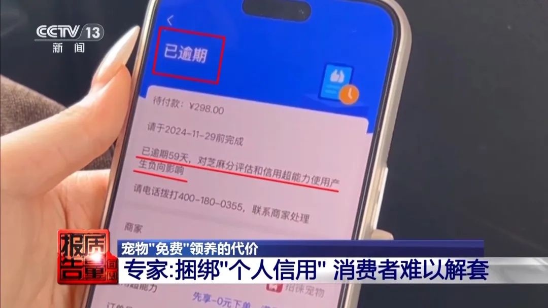 “免费送猫”背后的天价陷阱(图15)