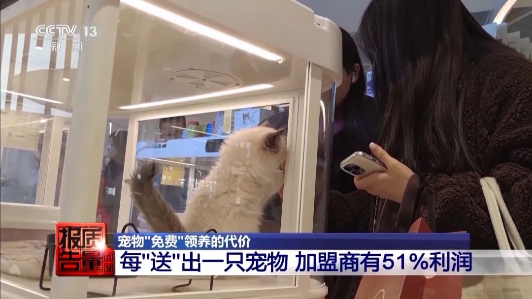 “免费送猫”背后的天价陷阱(图8)