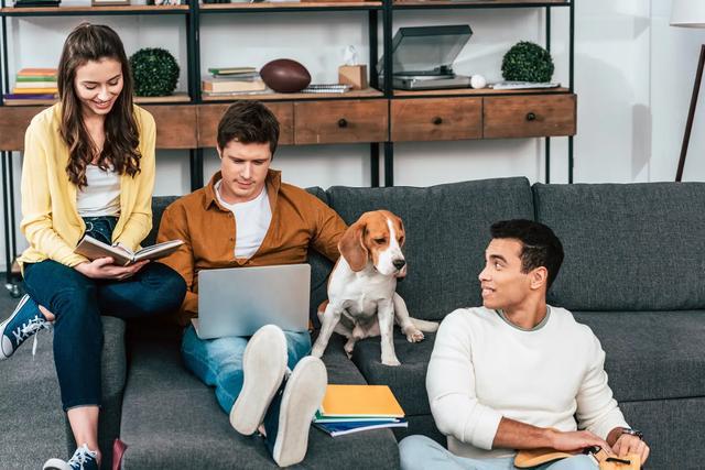 研究发现宠物能给孤独者带来显著的健康益处(图2)