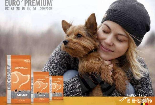 狗粮哪个牌子好又便宜狗爱吃 性价比高的狗粮排行榜2020(图2)