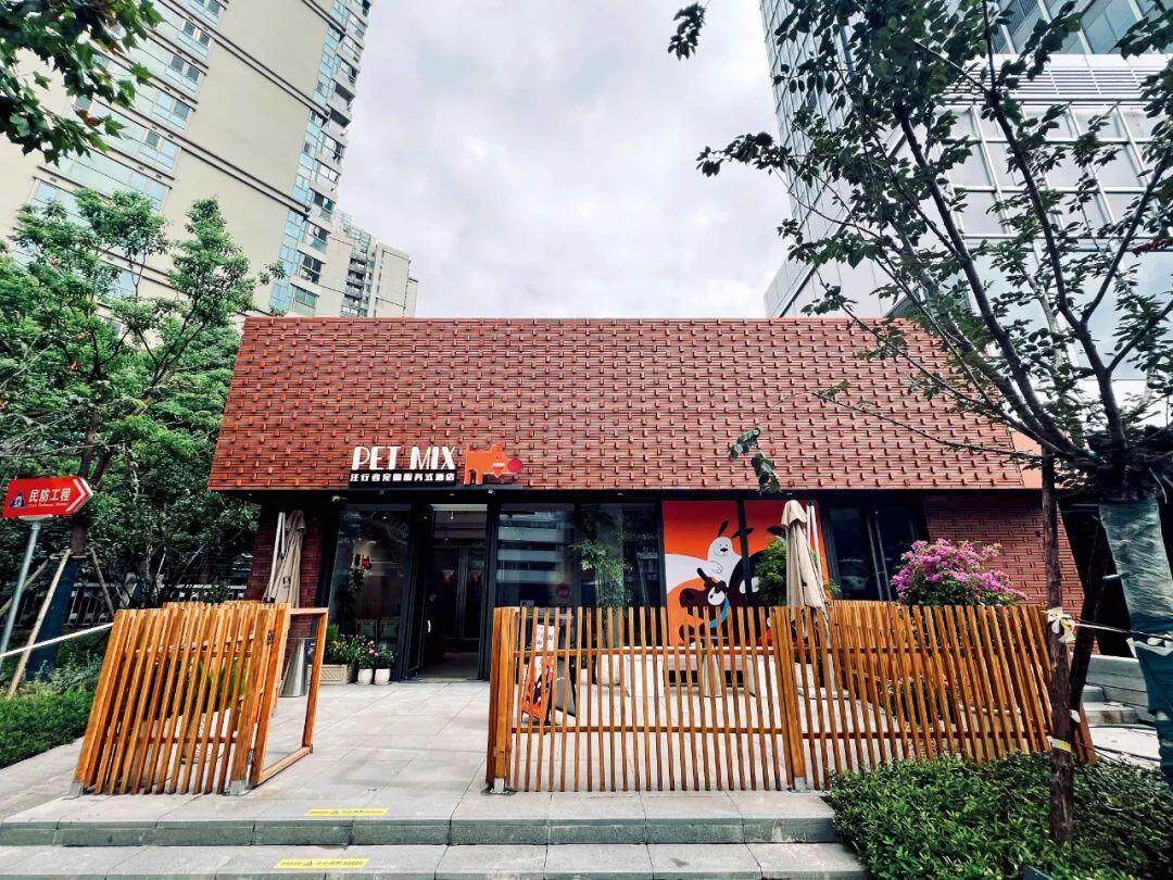 宠物店跑路越来越多(图2)