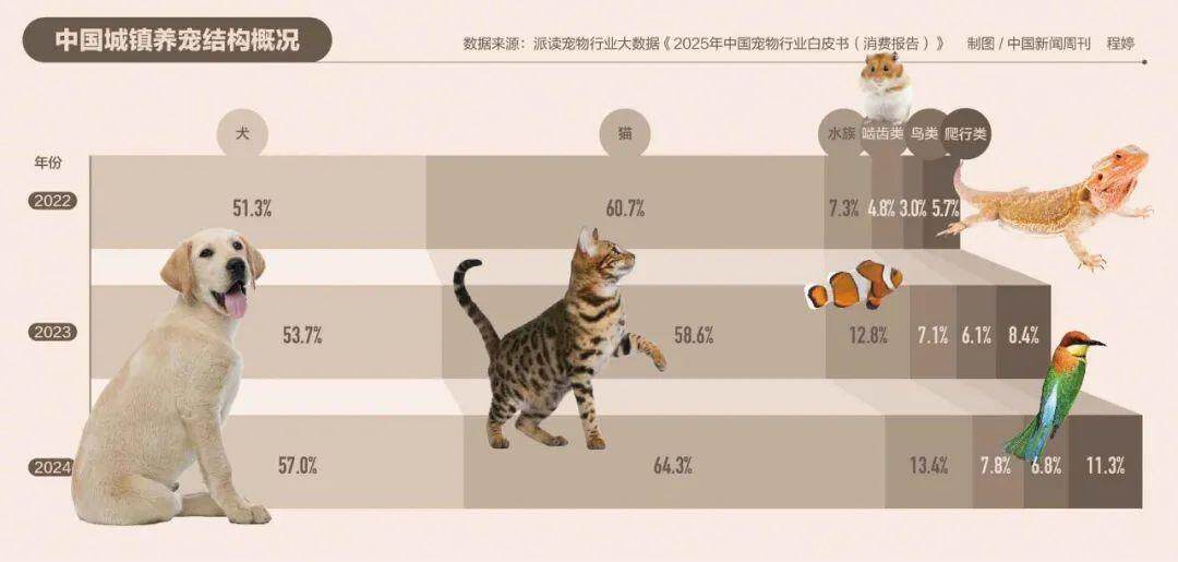 宠物店跑路越来越多(图5)
