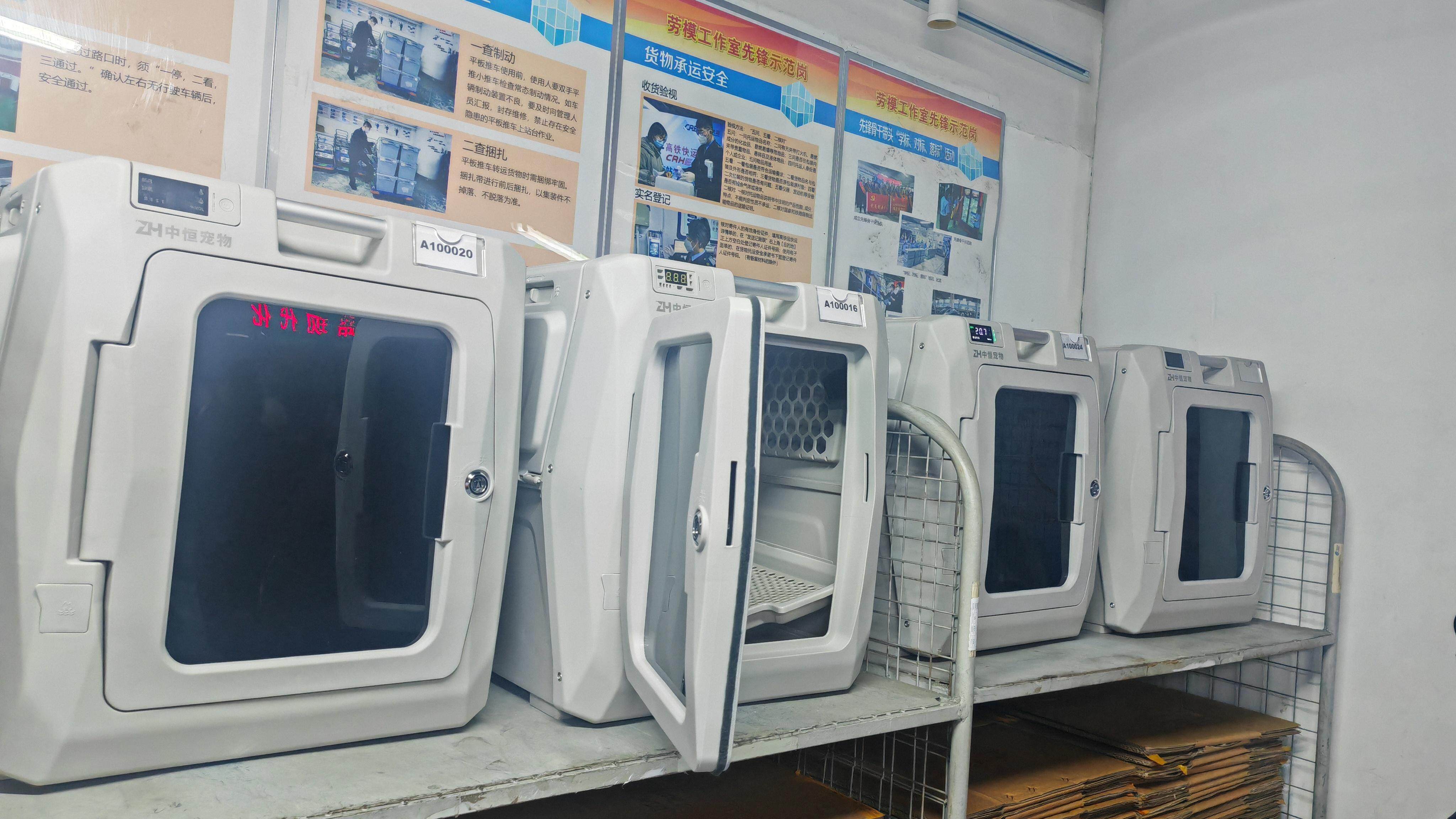 高铁宠物托运首日乘客点赞：“把宠物交给他们很放心”(图2)