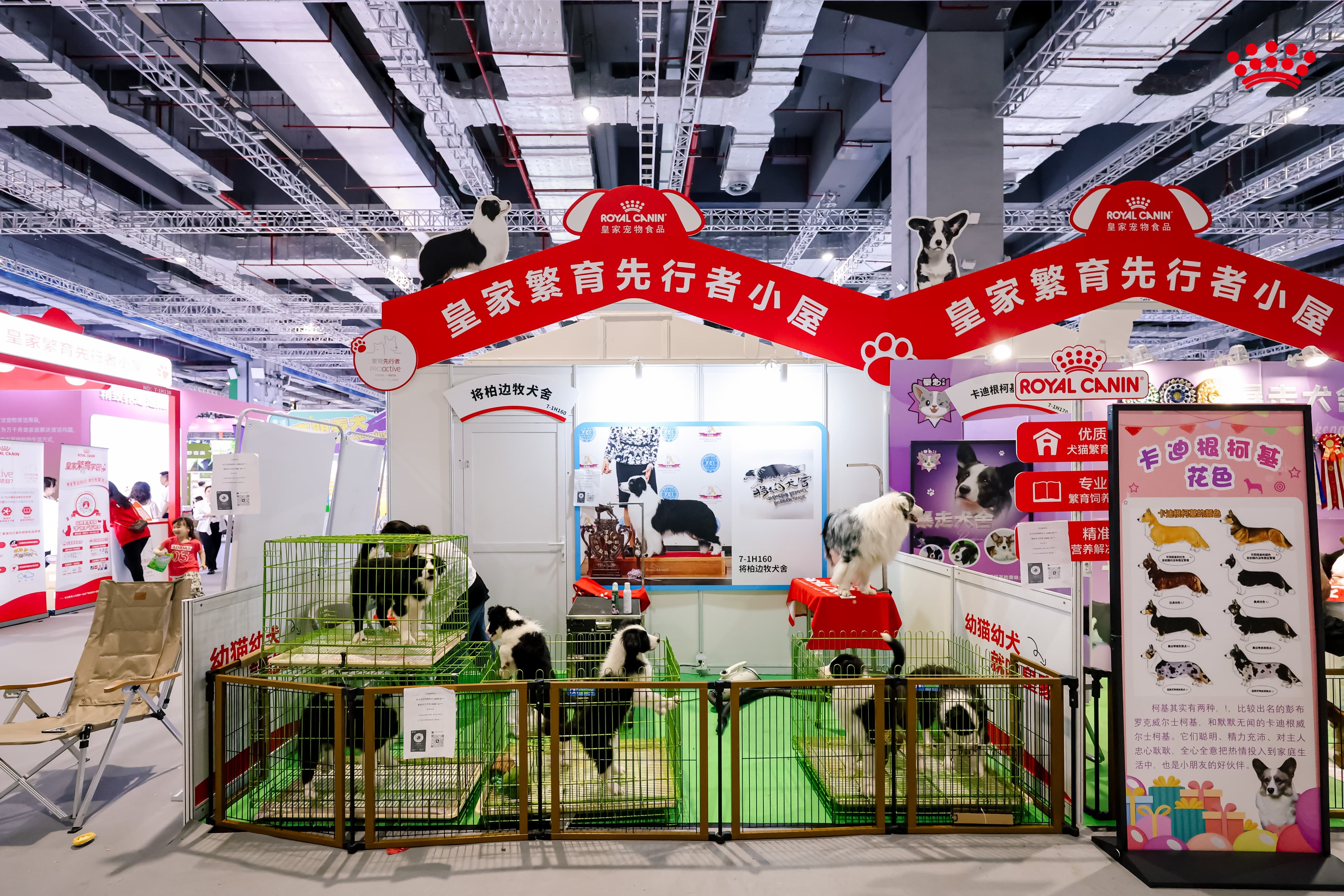 九游体育：皇家以“跨界联动+专业赋能”亮相它博会“击掌为萌”共筑宠物健康新生态(图6)