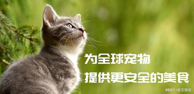 帅克宠物：以爱之名共筑宠物生活新篇章(图2)