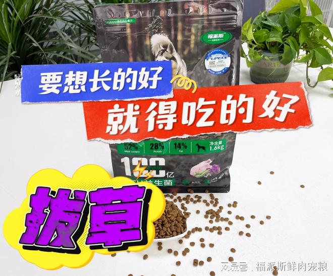 繁育优选福派斯益生菌犬粮助您打造健康宠物宝宝！(图3)