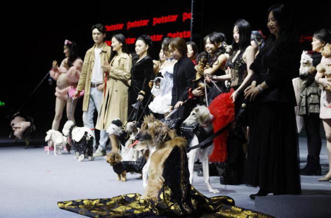 宠物经济：持续升温背后的动因(图4)