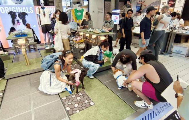 宠物经济：持续升温背后的动因(图5)