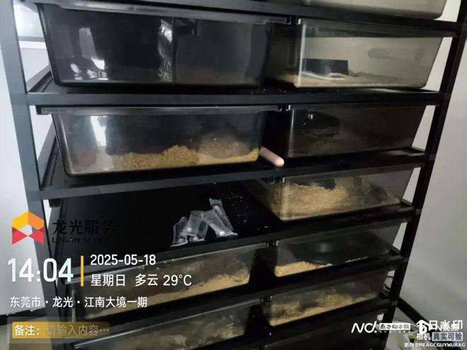 九游官网入口：25楼住户养百条宠物蛇！业主恐慌报警公安、林业部门等介入(图2)