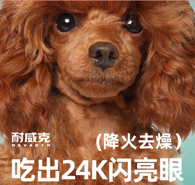 三种狗粮专为消化好、去除泪痕而设计狗狗爱吃！(图9)