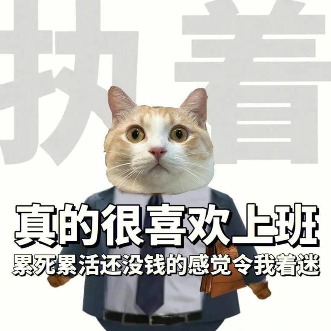 九游app：进化掉食欲的打工人已经开始吃饲料了(图10)