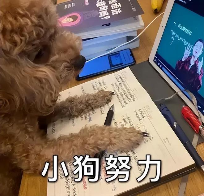 九游app：进化掉食欲的打工人已经开始吃饲料了(图2)