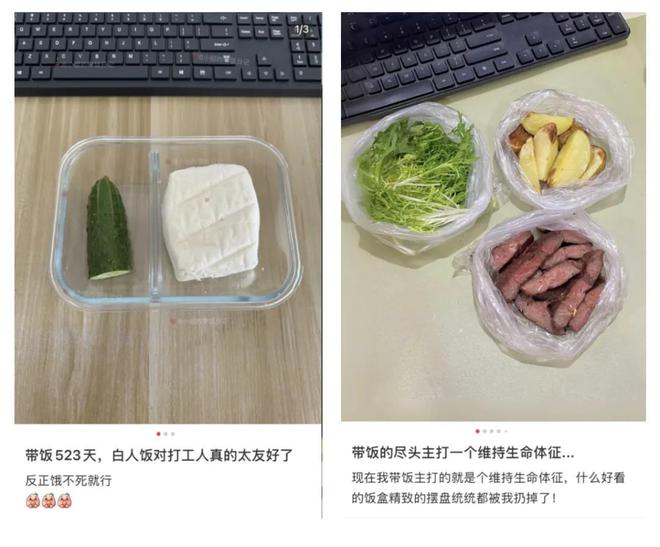 九游app：进化掉食欲的打工人已经开始吃饲料了(图16)