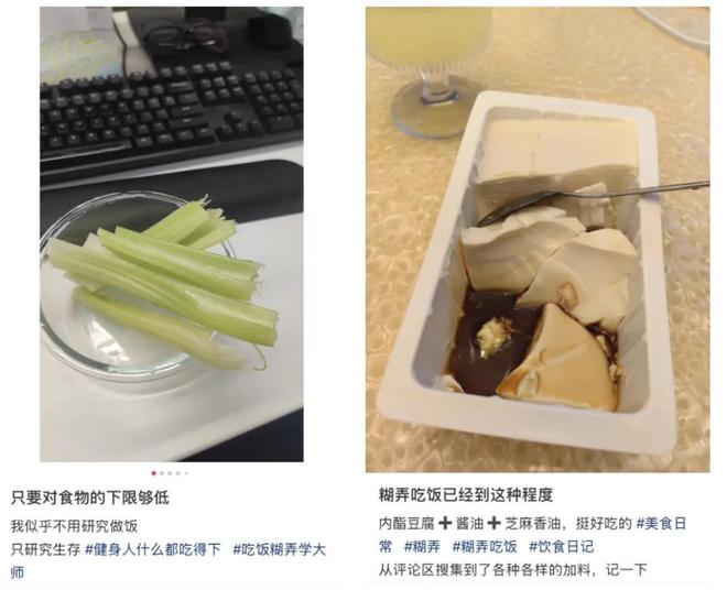 九游app：进化掉食欲的打工人已经开始吃饲料了(图15)
