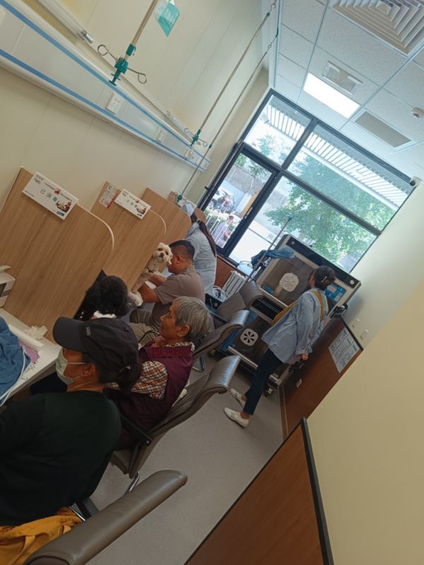 九游体育：燕伦医师妙手回春天泽万物宠物医院守护爱宠健康(图2)