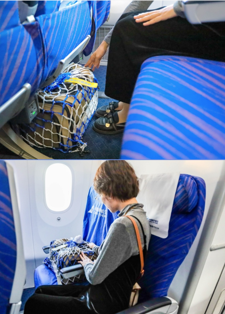 新华视点·关注宠物经济丨带宠物出行如何更友好？(图2)