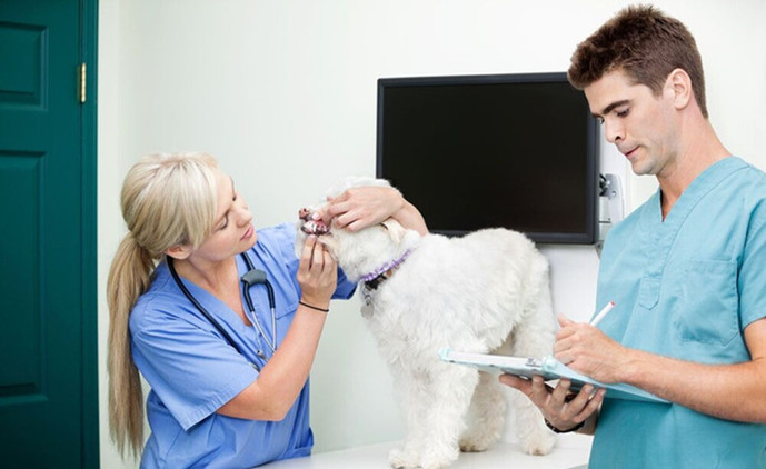 丧尸乐园2电影免费观看HD中字高清全集完整版1欧乐影院(图1)