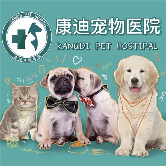 家庭宠物健康医疗险正式推行(图1)