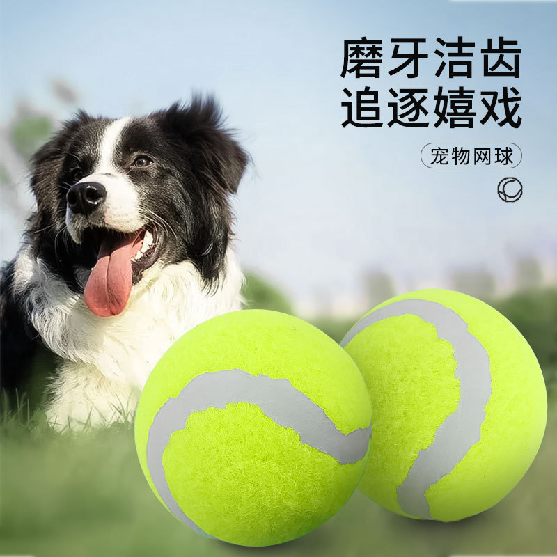 30000买猫6万治病！你了解合同背后的秘密吗？