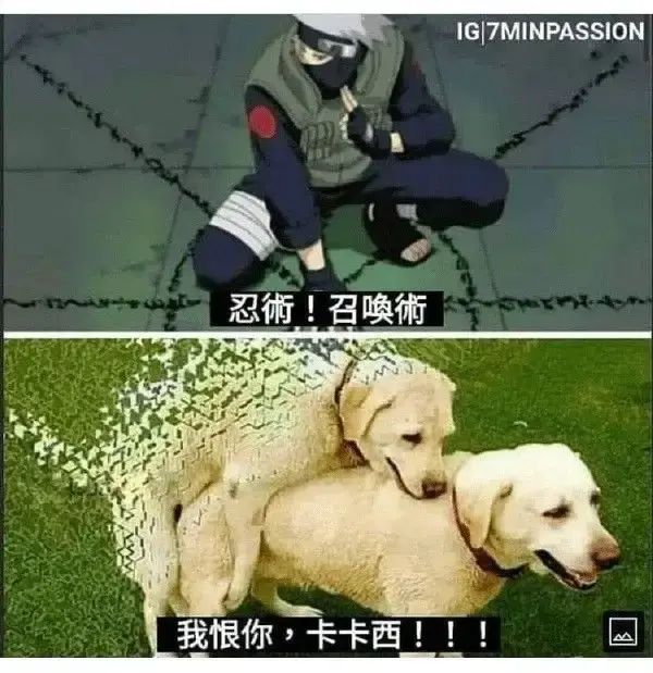 轻松一刻：小伙子你要撞大运啦！(图12)