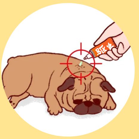 【统统告诉你】住户调查小课堂：家庭宠物经济账本(图2)