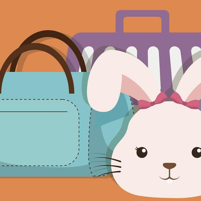 【统统告诉你】住户调查小课堂：家庭宠物经济账本(图3)