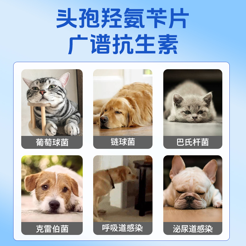 米内资讯-健康产业资讯门户医药市场动态广场(图1)