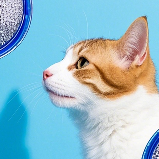 九游app：首届动物致伤与急性传染病防治学术会议在济南召开(图1)