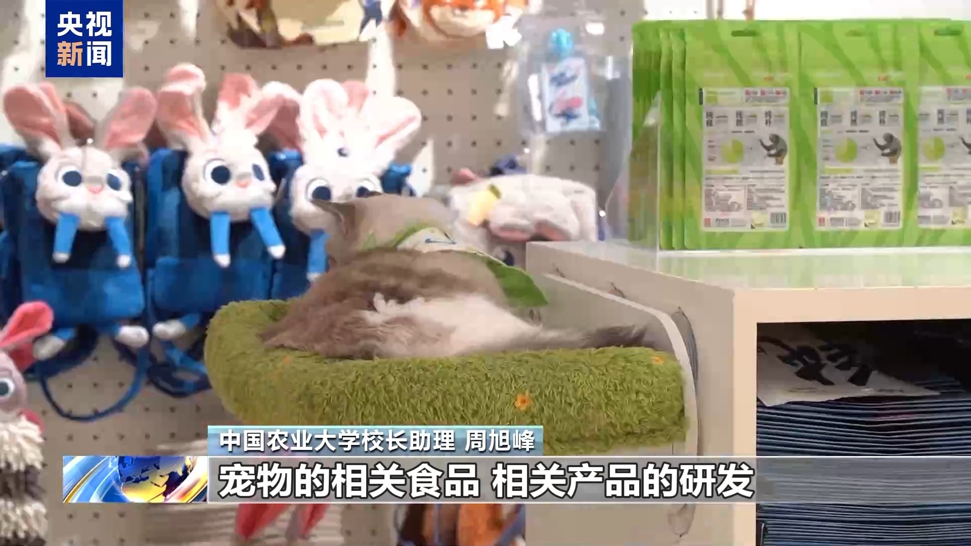 高考志愿新选择 宠物、智能农机等专业划出“新赛道”(图7)