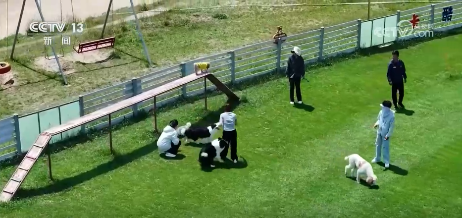 九游app：一批高校涉农专业“上新”(图8)