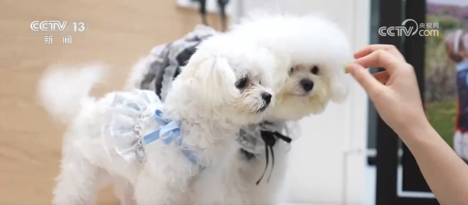 九游app：一批高校涉农专业“上新”(图9)