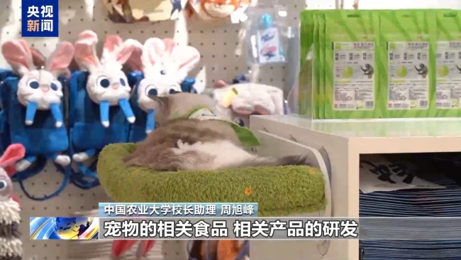 九游体育：高考志愿新选择 宠物等专业划出“新赛道”(图7)